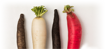 野菜の写真